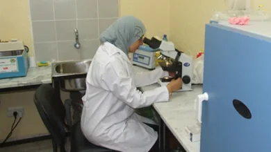 Photo of وزارة الصحة ترفع العقوبات على الصيدليات الناشطة في مجال التحاليل الطبية 