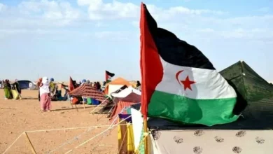 Photo of الصحراء الغربية: الإبداع الأدبي والفني ..  جبهة أخرى للنضال والدفاع عن حق تقرير المصير