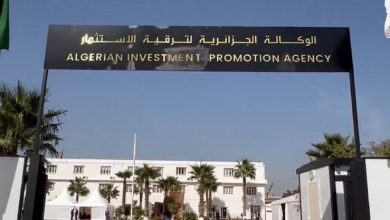 Photo of في قطاعات الفلاحة والسياحة …  استثمارات أجنبية ضخمة ستُجسد في الجزائر   