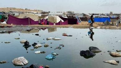 Photo of العدوان الصهيوني: كارثة بيئية خطيرة بسبب تعمد الإحتلال تدمير شبكات المياه والصرف الصحي