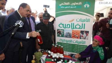 Photo of خنشلة: أزيد من 40 مشاركة في المعرض الجهوي لمنتجات المرأة الريفية