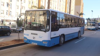 Photo of لتعويض القديمة.. دخول 30 حافلة جديدة محلية الصنع حيز الخدمة تدريجيًا